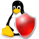 Linux стала рекордсменом по росту числа новых вредоносных программ